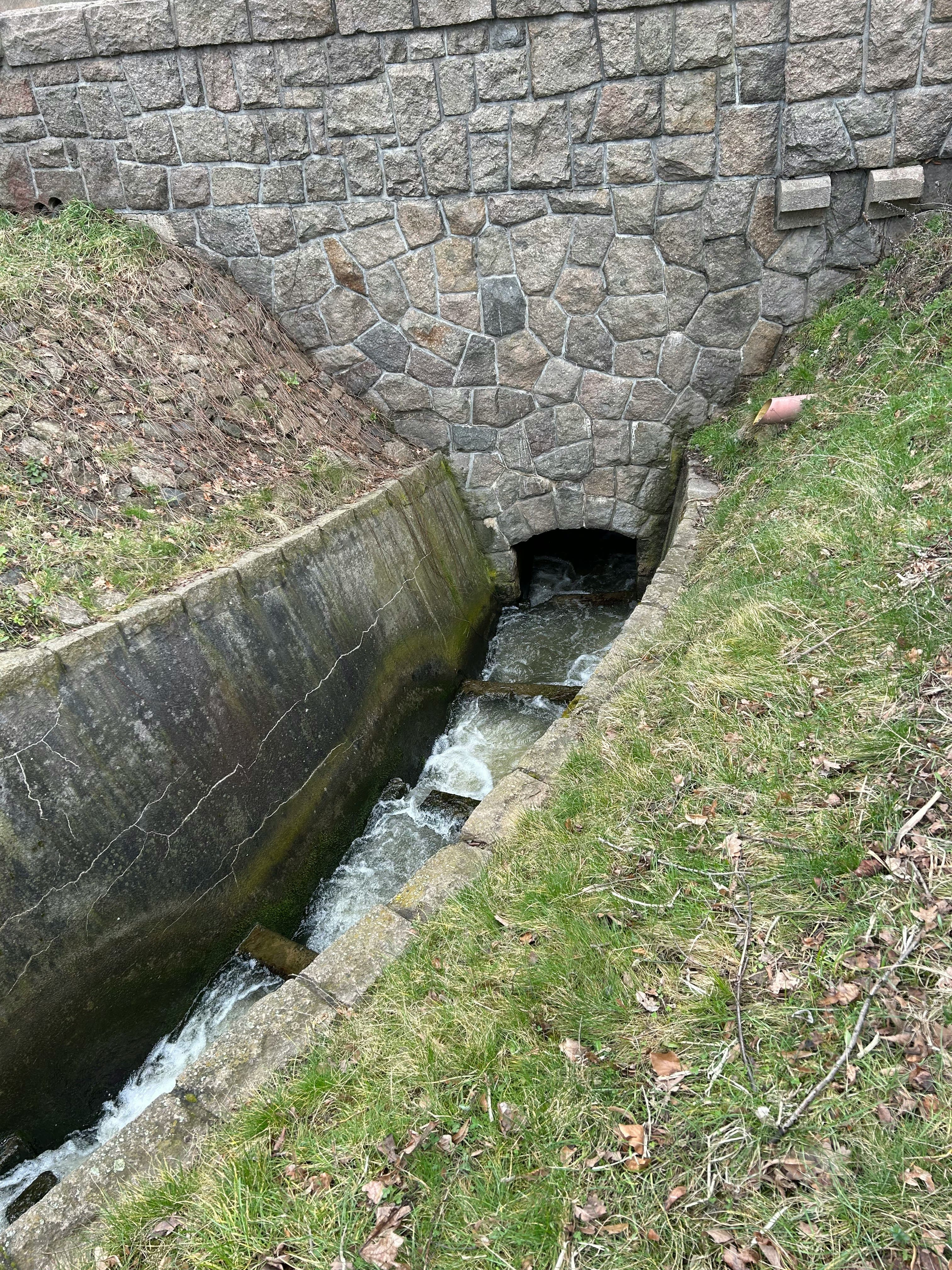 Drain4Sure Service Van